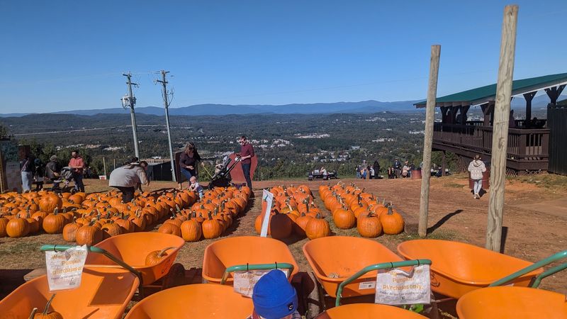Make Room for Pumpkins and Fall Decorations