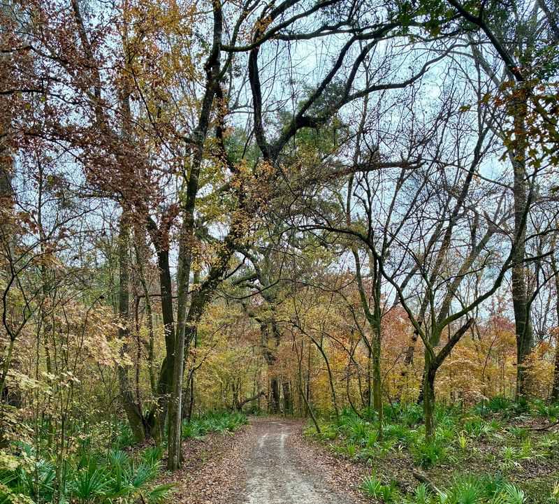 Hike Trestle Point and Pine Ridge Trails