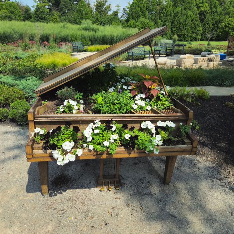 A Music Garden Made For Noisy Fun