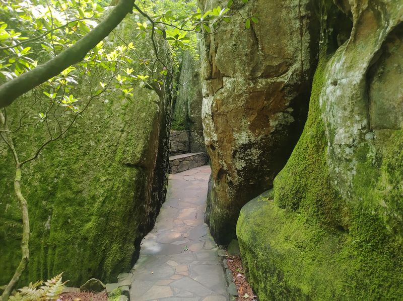 Hidden Gnomes Turn the Trail Into a Game