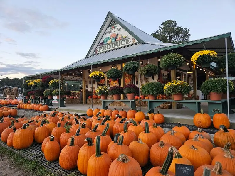 Harvest Fair at Hunt Club Farm - Virginia Beach