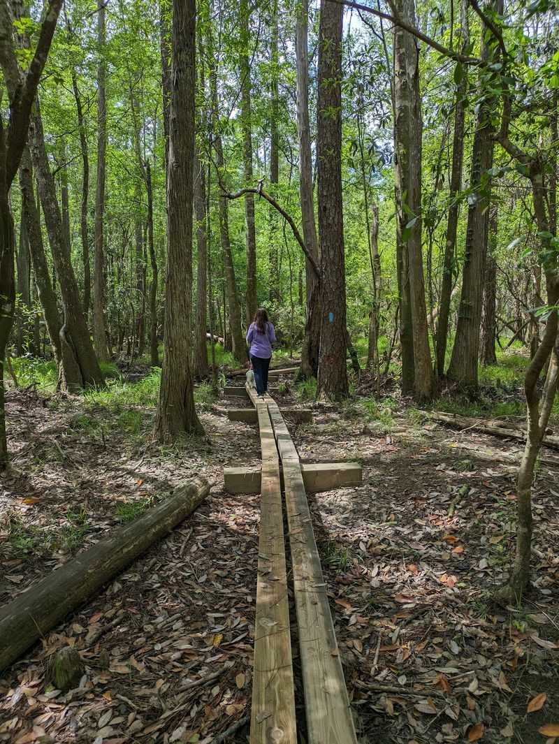 Blackwater River State Park in Holt, Santa Rosa County,