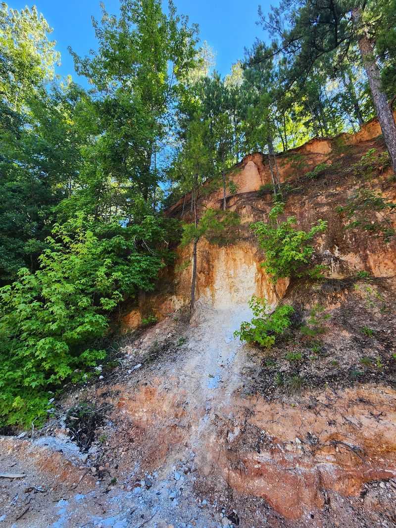 Public Digs, Guided Digs And Machine Digs Offer Different Experiences