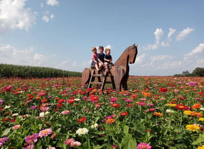 There Are 70+ More Things To Do After the Maze
