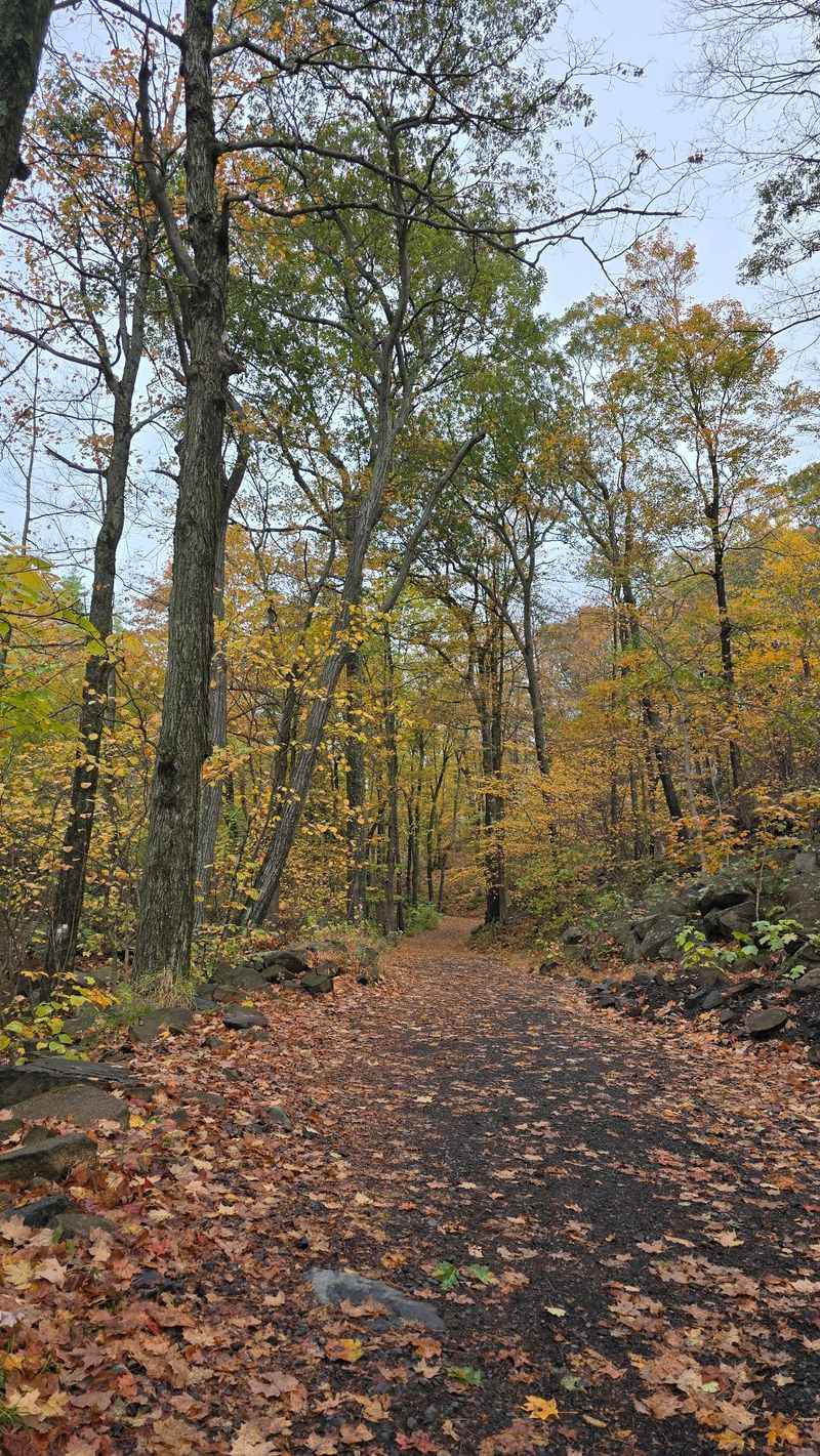 The First Hint of Fall