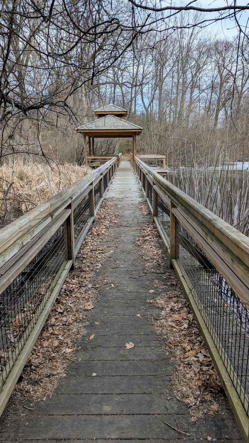 Bird Watching That Welcomes Beginners