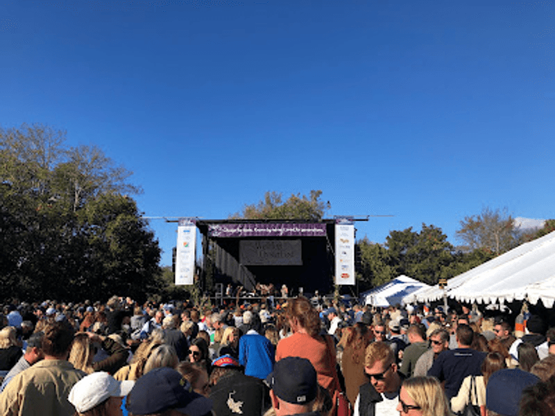 A Festival with Community Purpose