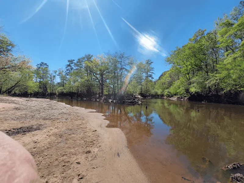 Fishing Quietly in the Blackwater Bends