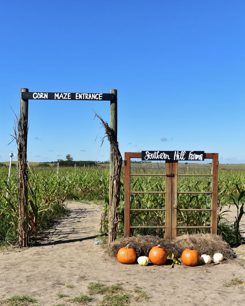 A Different Kind of Farm Day in Fall