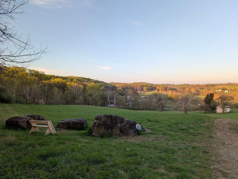 Seasonal Fields Create Photo Memories Without Trying