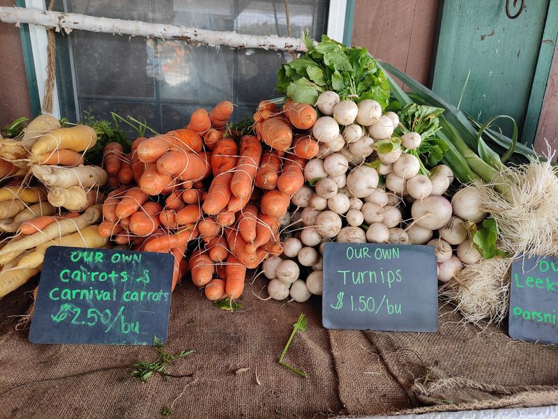 Spring Brook Farm Country Store - Littleton