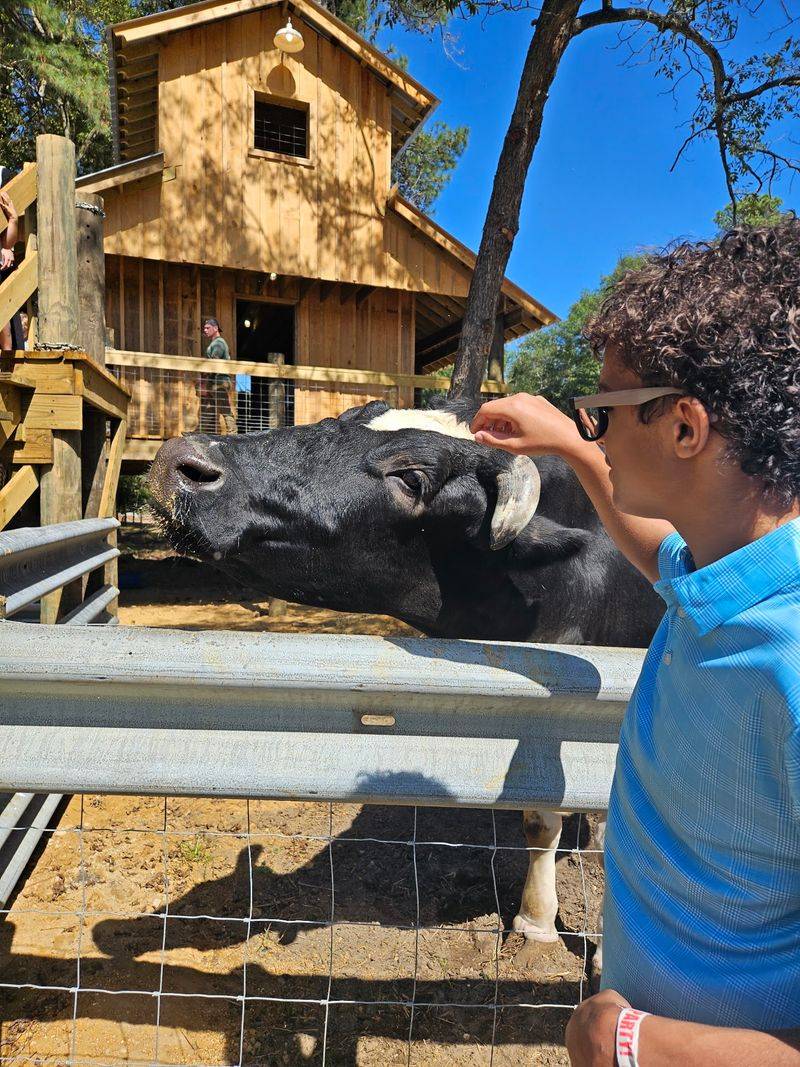 Naylor Family Farm Petting Zoo in Fuquay-Varina, Wake County,