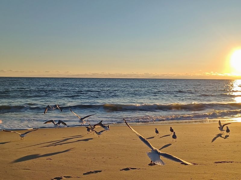 Dewey Beach, Dewey Beach, Sussex County