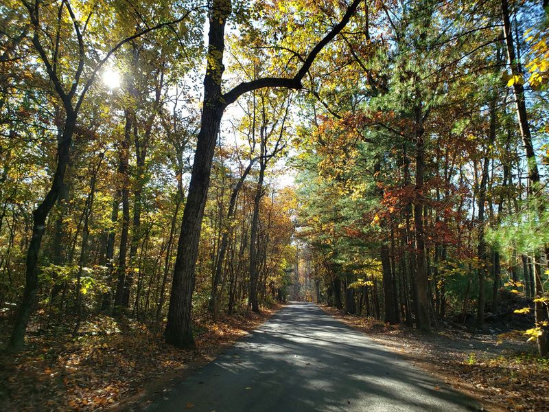 Kings Gap Loop Trail in Boiling Springs, Cumberland County,