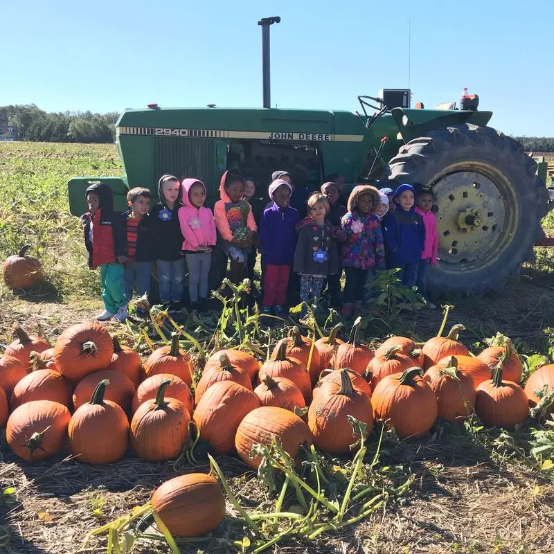 Evans Farms Produce - Bridgeville