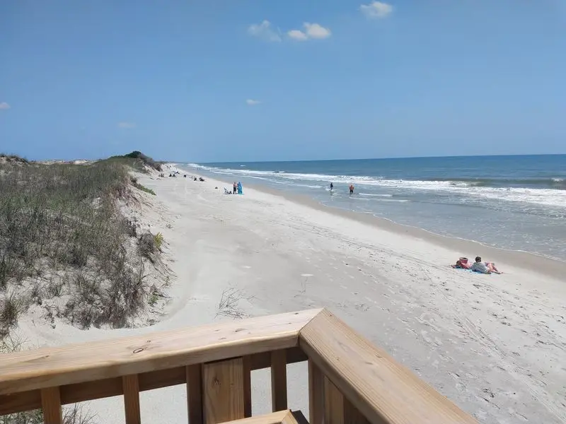 Swim Along the Sandy Shore