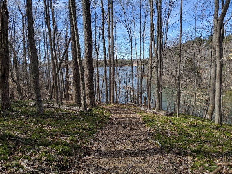 Trails Above the Changing Shore