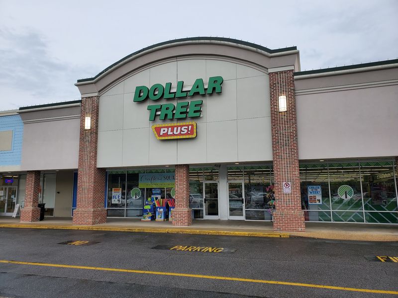 Dollar Tree in Chesapeake, Chesapeake City,