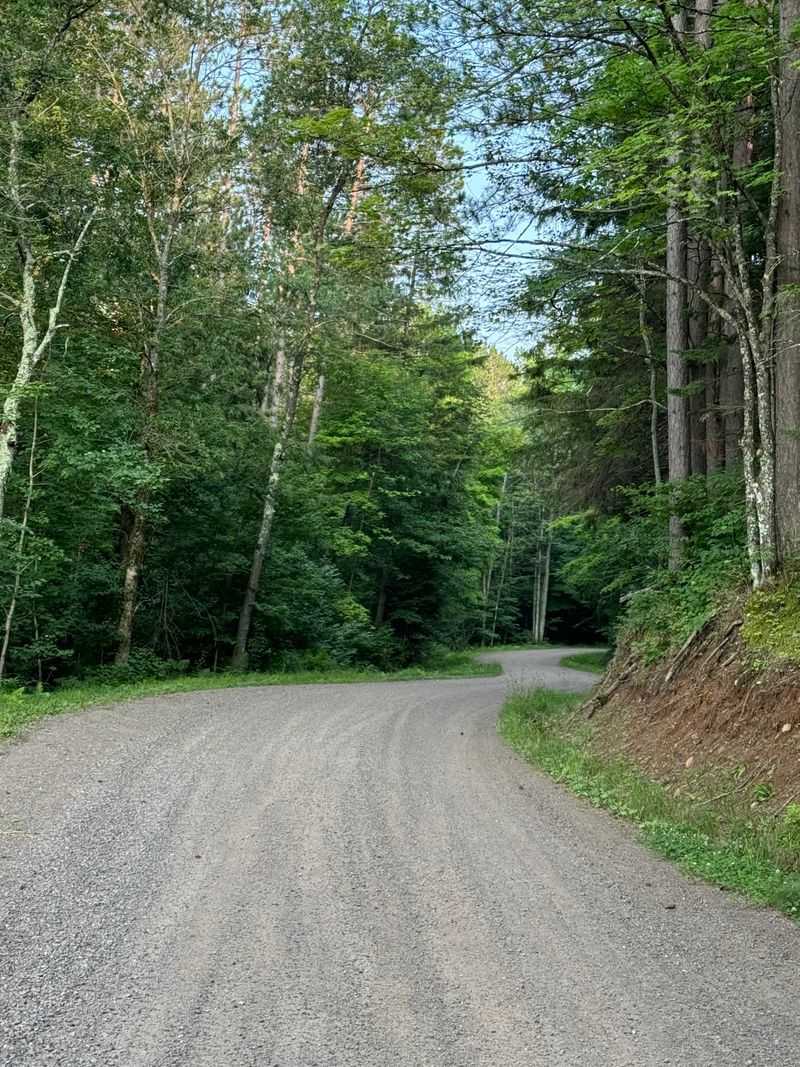 Perkinstown Motorized Trail - Price County
