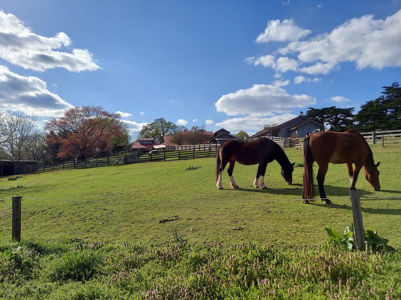 Maymont Farm - Richmond