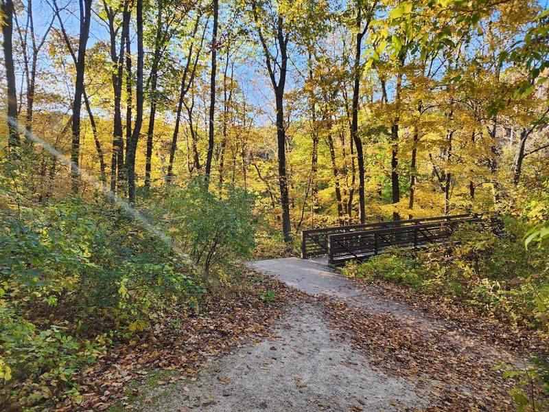 Trails Made for Curious Little Hikers
