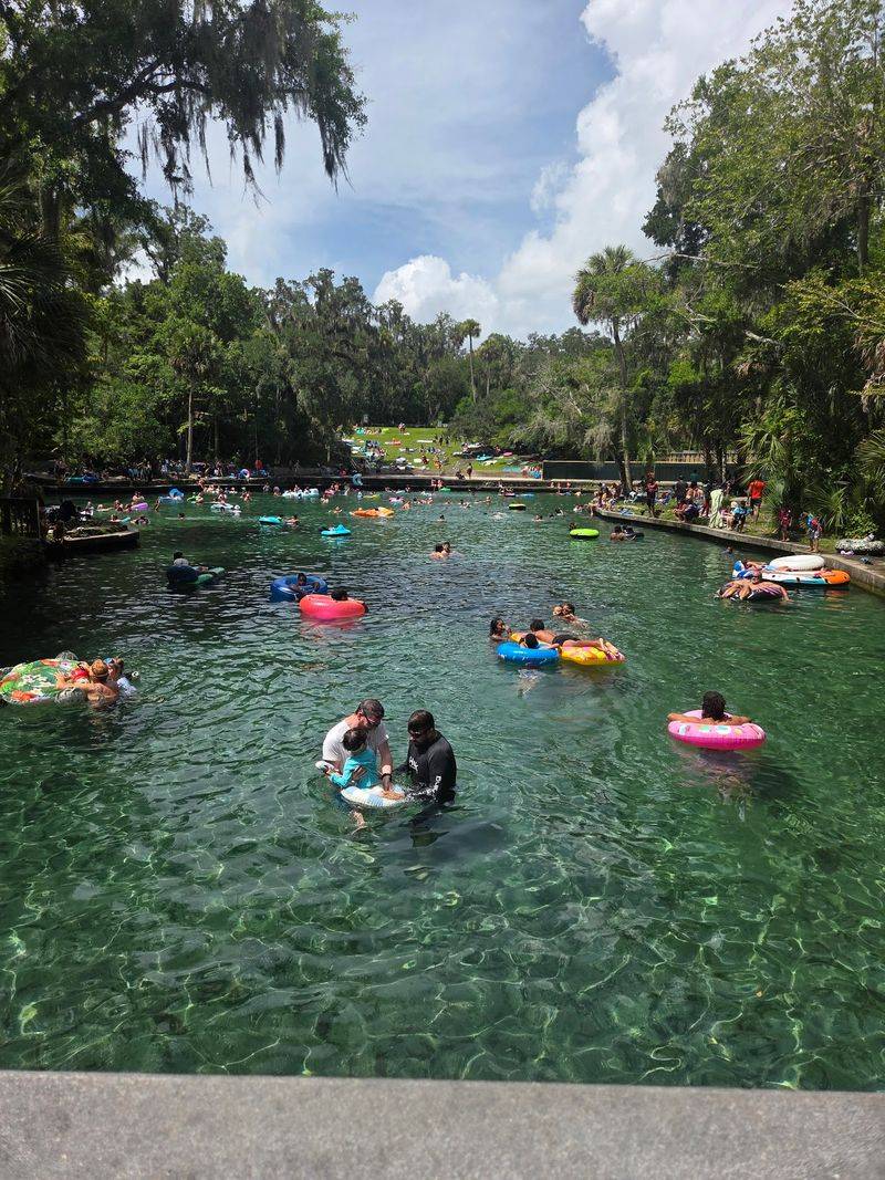 Spend the Day Swimming at Wekiwa Springs