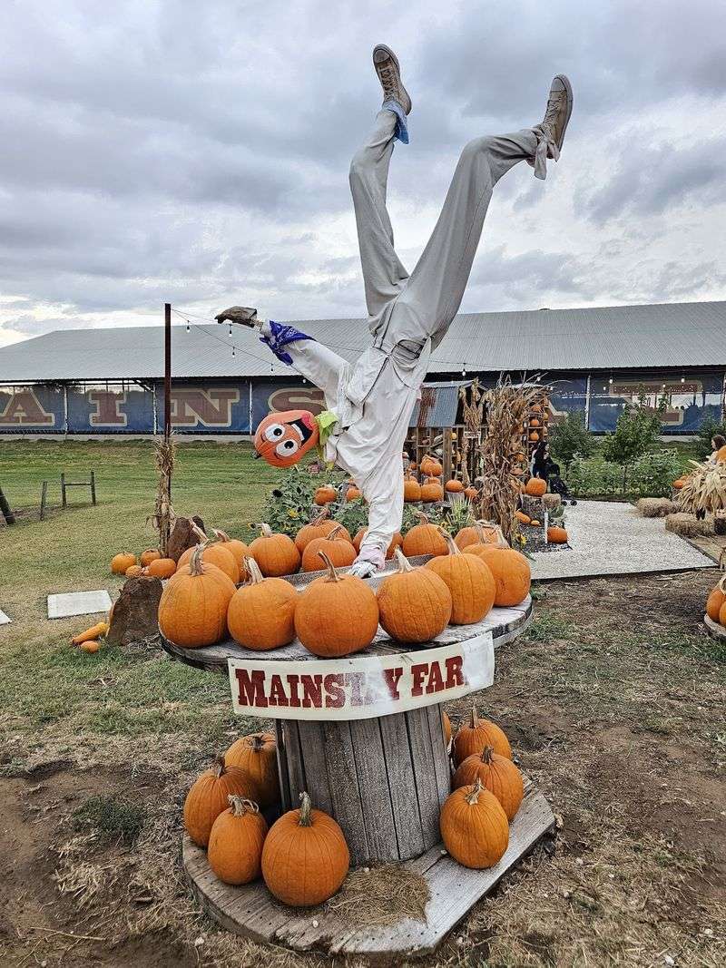 Mainstay Farm Park - Cleburne
