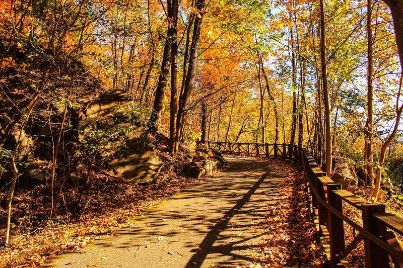 Take a City Break at Alapocas Run State Park