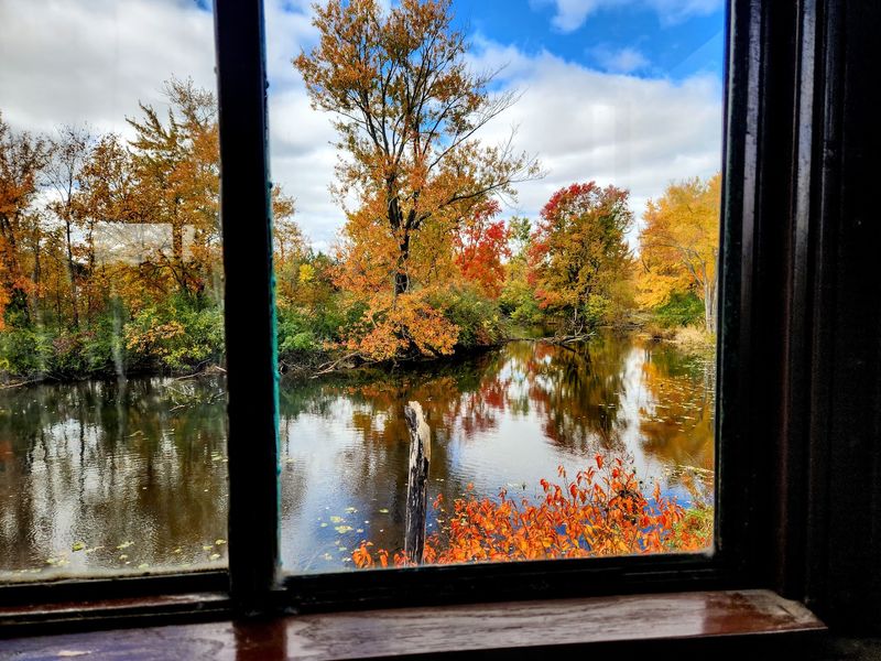 Watch The River Raisin Country Roll Past Your Window