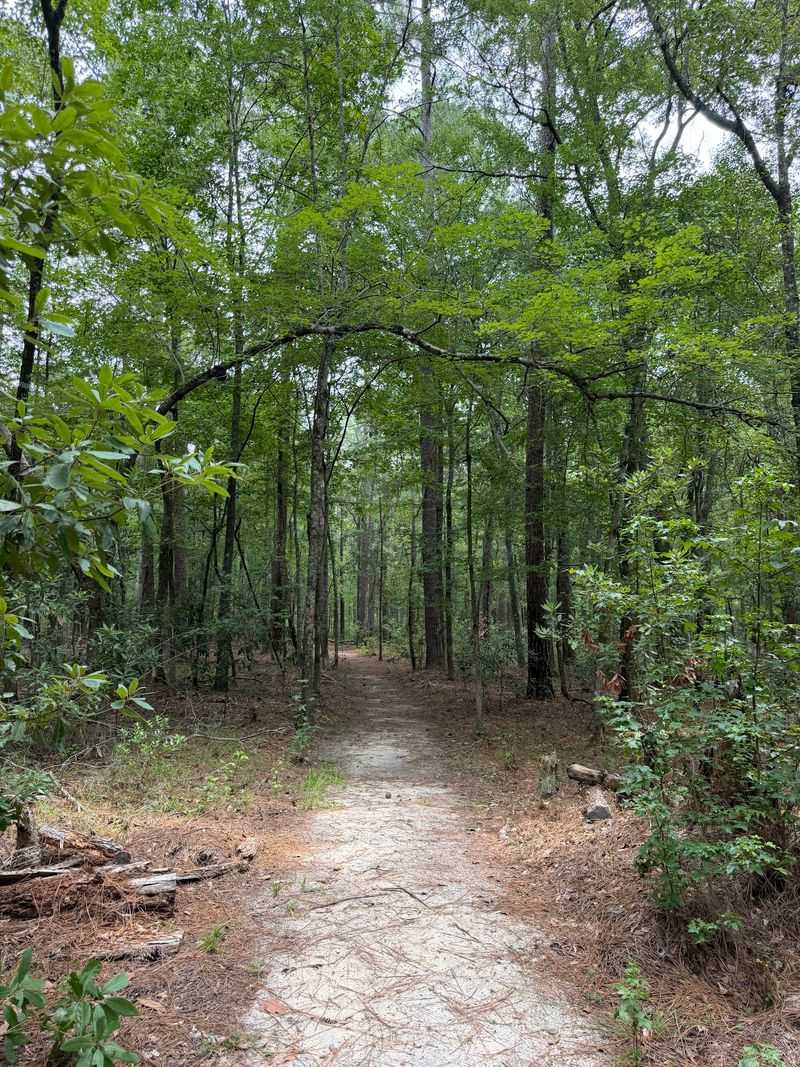 Let an Old Trail Tell a Story