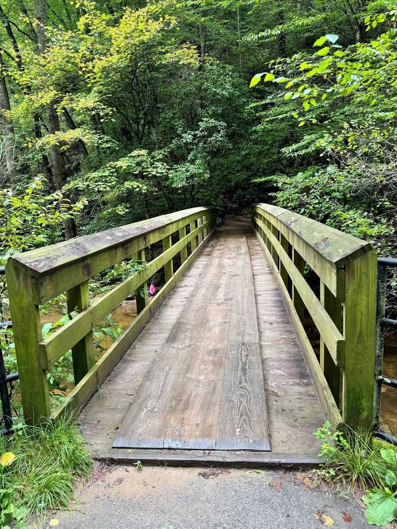 The Trail's Rustic Footbridges Add to the Adventure