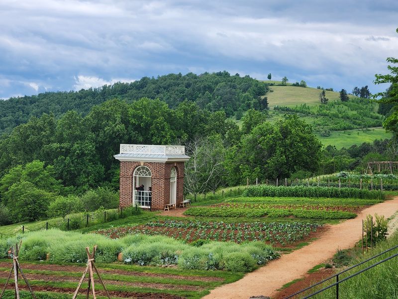 Find the Stories on Mulberry Row
