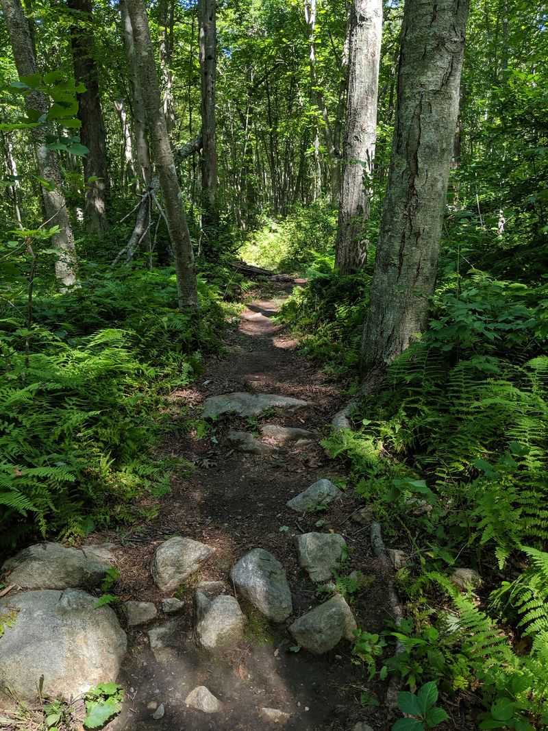 Choose an Easygoing Route