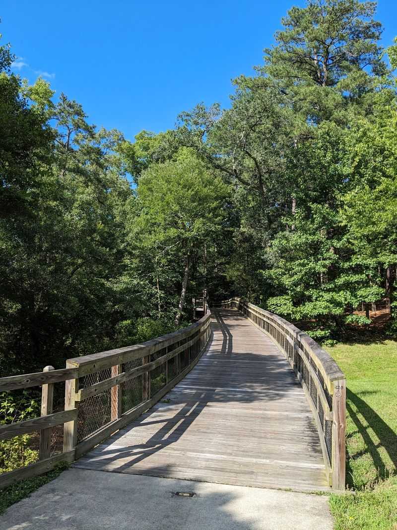Cruise Through Wetlands on Scenic Boardwalks