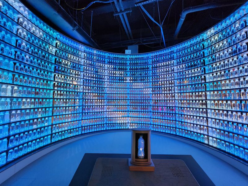 Let the Special Exhibits Surprise You
