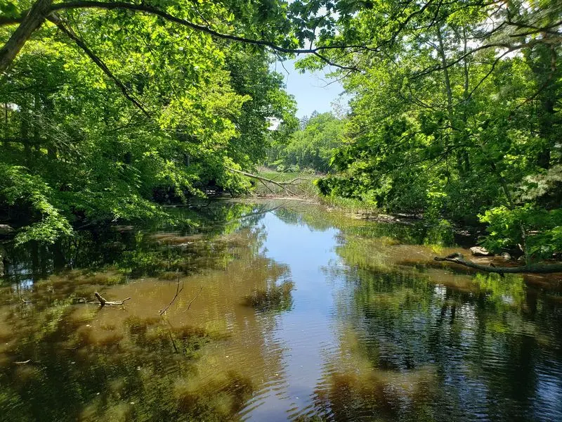 Watch the East River Change