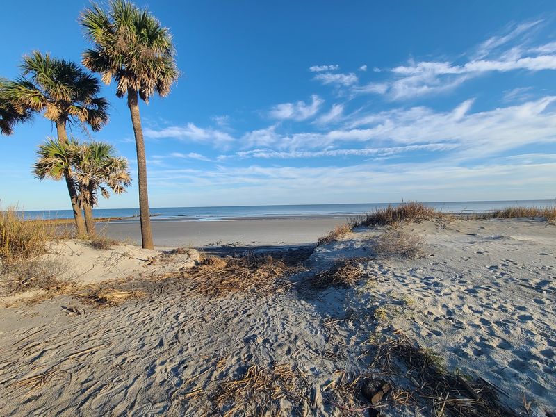 Hunting Island State Park Beach - Hunting Island