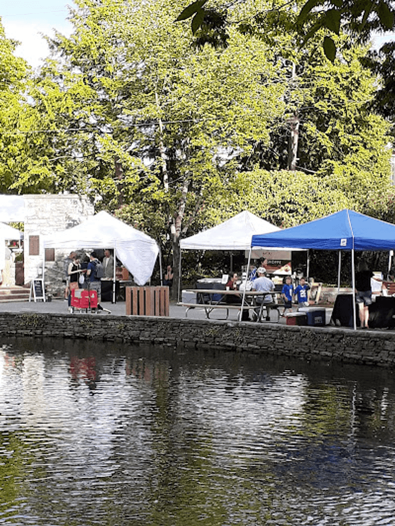 Live Music That Gives the Evening Its Pulse