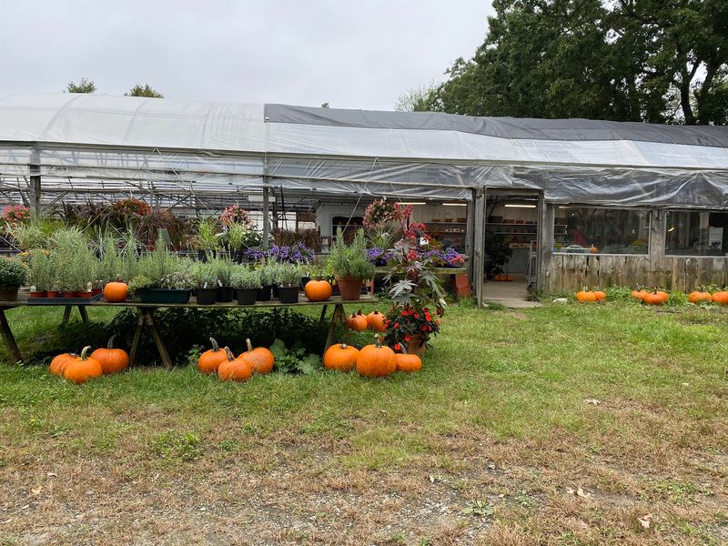 Applefield Farm Stand - Stow