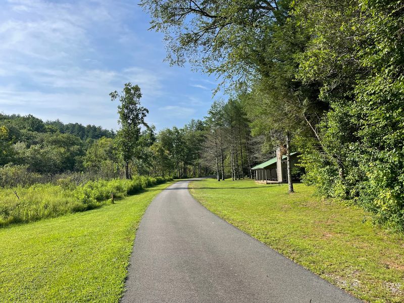 Car-Free Roads Make Walking Feel Peaceful Again
