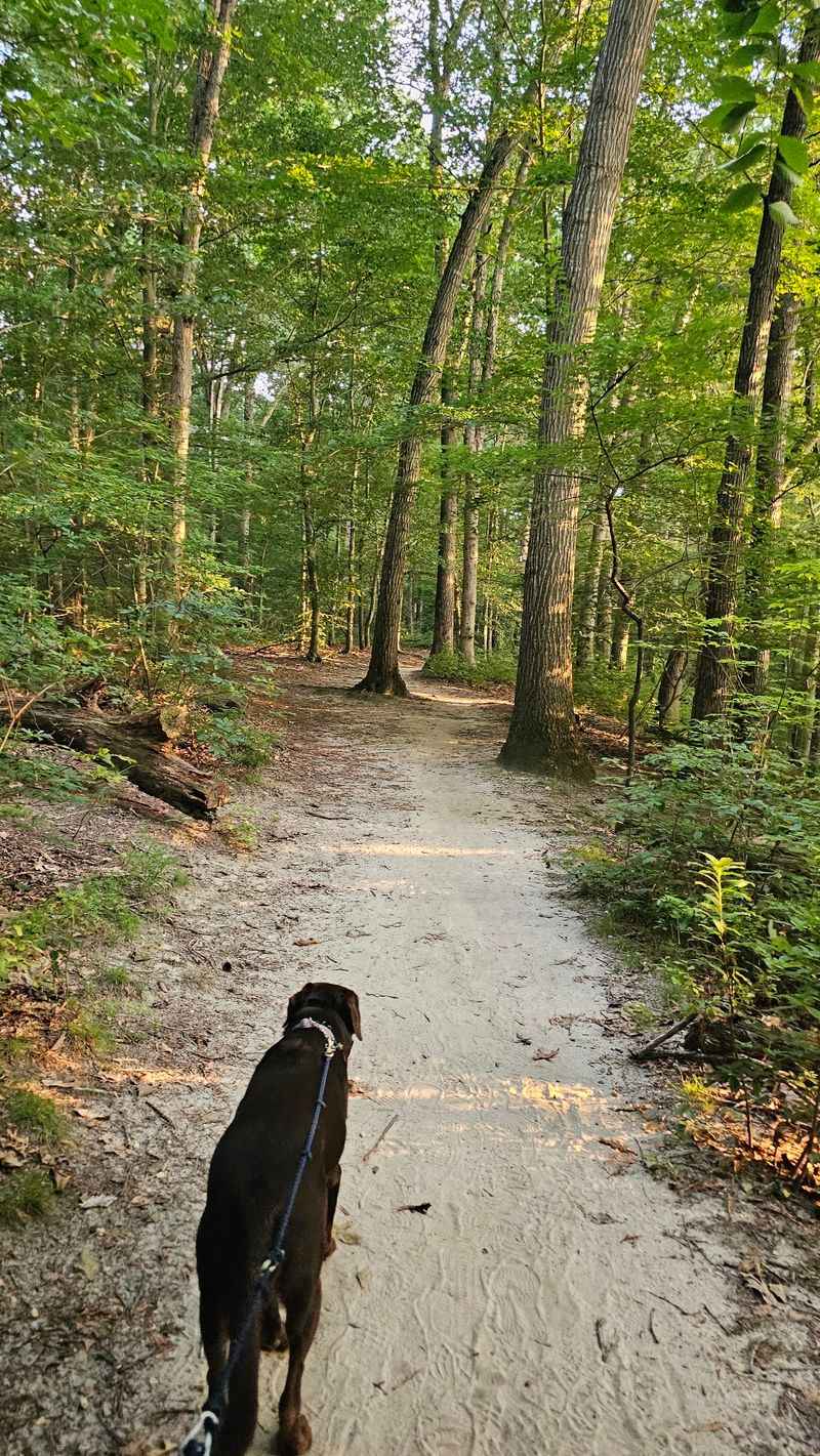 Killens Pond State Park - Felton