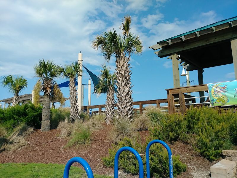 Carolina Beach Boardwalk: The Summer I Turned Pretty