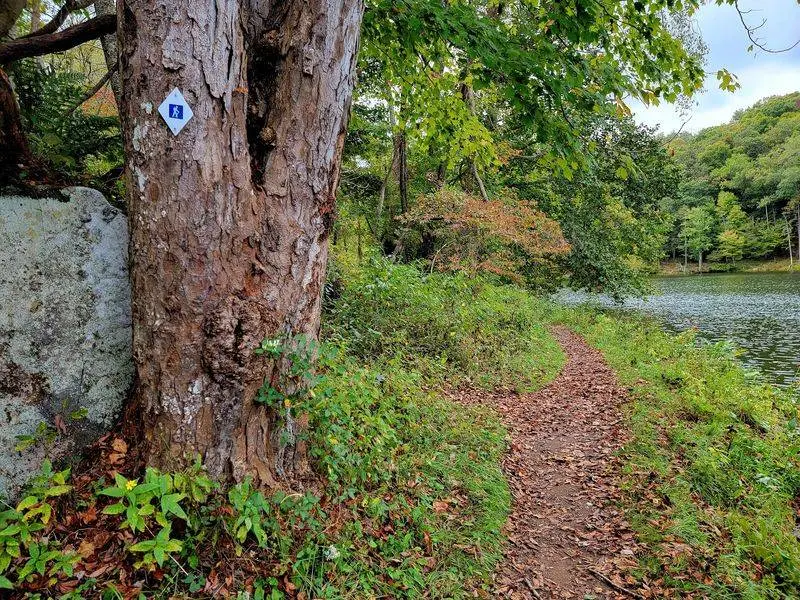 Lake Vesuvius Overlook Loop in Ironton, Lawrence County,