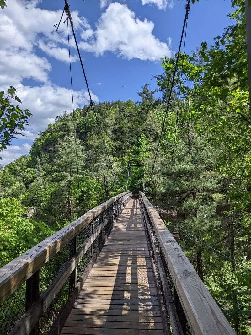 Amicalola Falls Loop Trail, Dawsonville, Dawson County