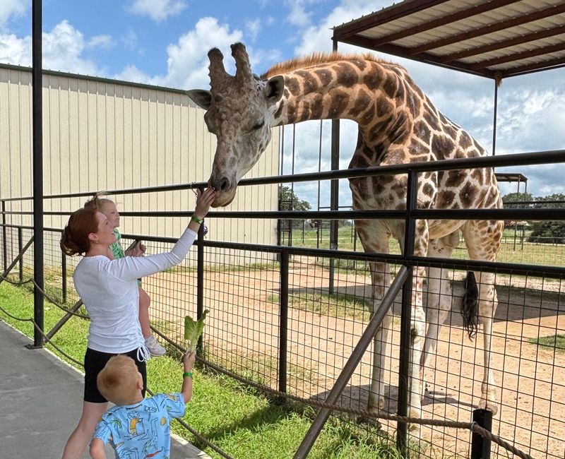 Aggieland Safari, Bryan, Brazos County