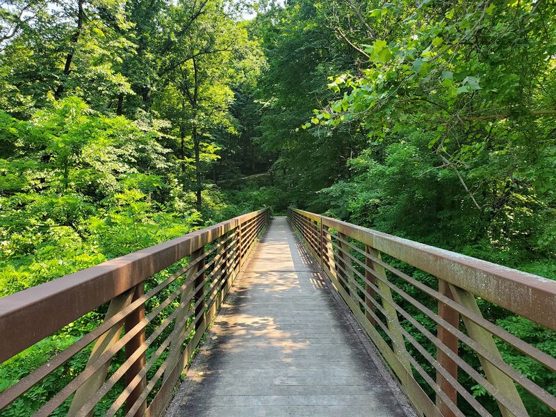The Bridge Adds a Big Moment to a Small Hike