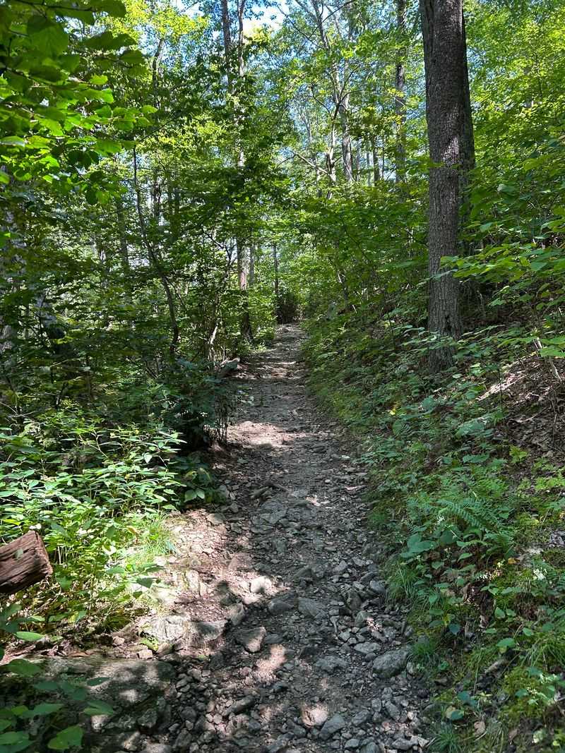 Mary's Rock Trail, Sperryville, Rappahannock County