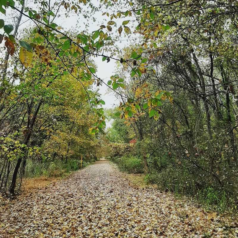 Susquehanna Warrior Trail in Berwick, Columbia County,