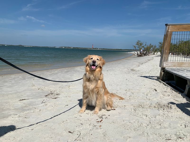 New Smyrna Beach Dog Park, New Smyrna Beach, Volusia County