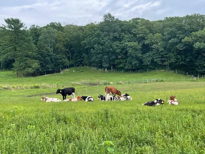 Hornstra Farms, Norwell, Plymouth County